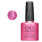 Shellac covetable 